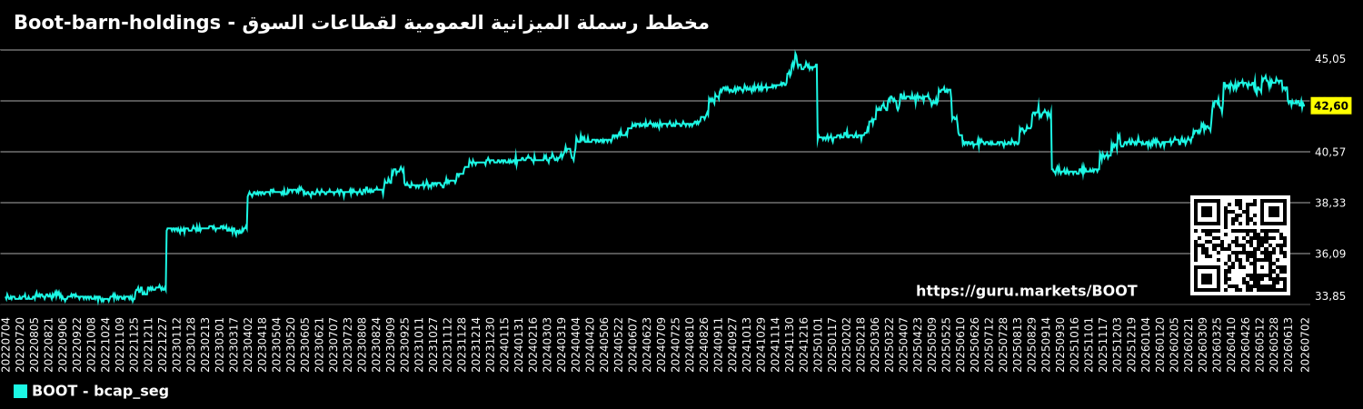 مخطط رسملة الميزانية العمومية لقطاعات السوق - Boot-barn-holdings